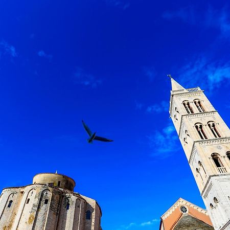 Ryanair'S Urban Flat In Zadar-Kolovare Beach 외부 사진